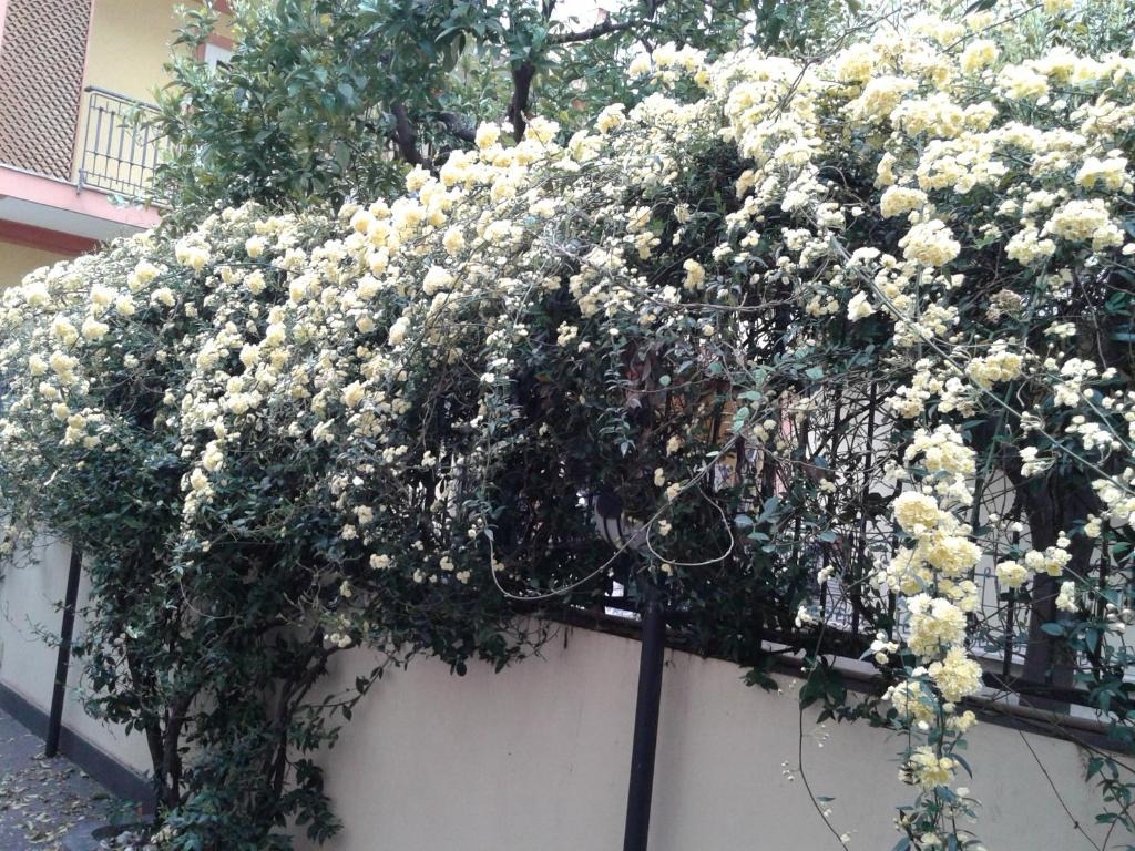 Appartamento Deluxe 29