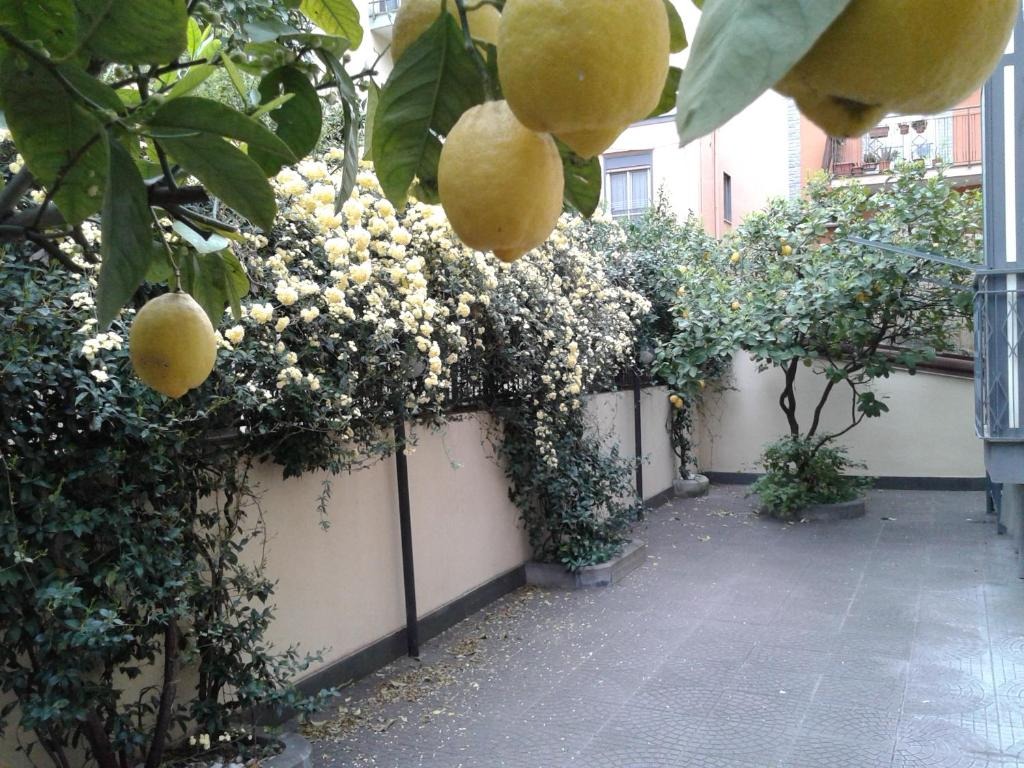 Appartamento Deluxe 30