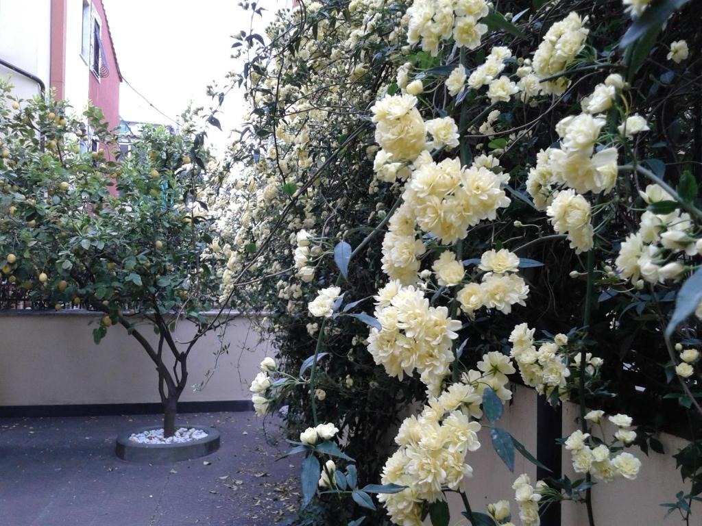 Appartamento Deluxe 31