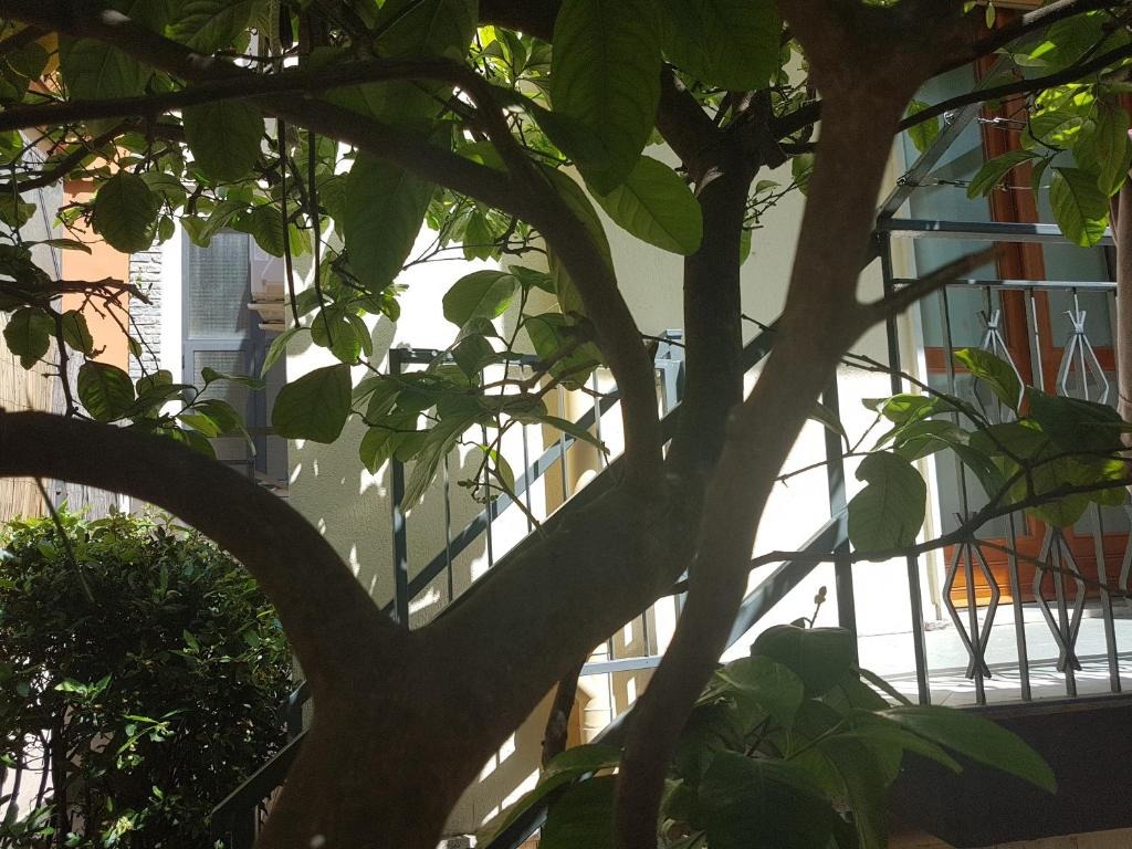 Appartamento Deluxe 32